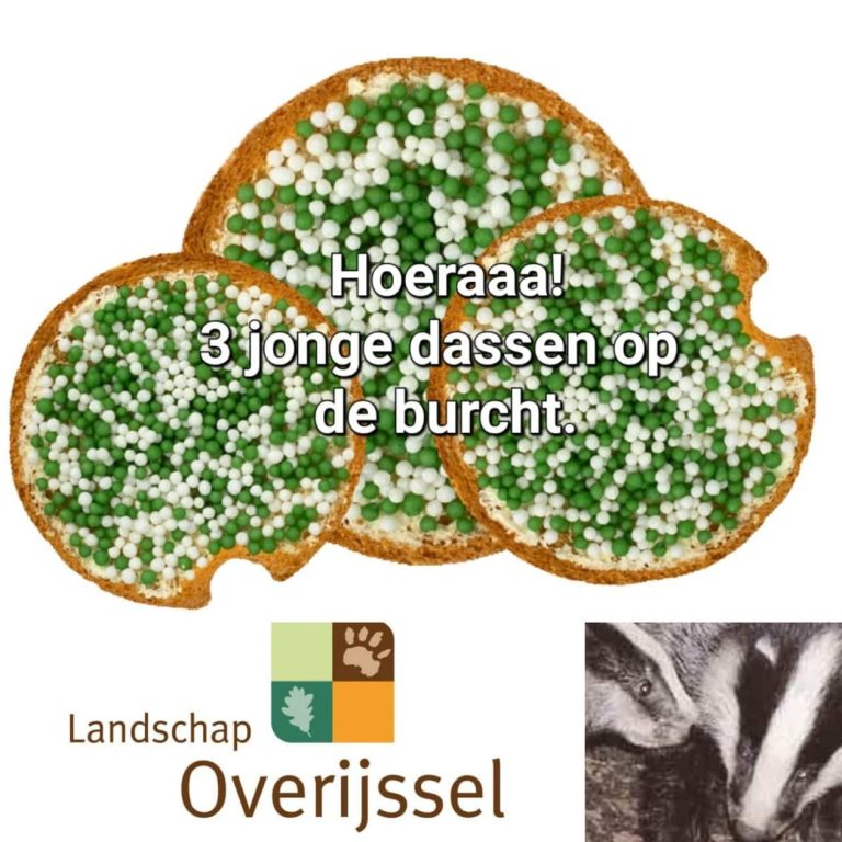 beschuitmetmuisjes dasmobiel (002)